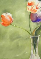 Tulips II by Barbara Waterman-Peters