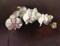 Orchid Light III by Barbara Waterman-Peters