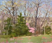 Spring Woods I by Nora Othic