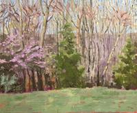 Spring Woods II by Nora Othic