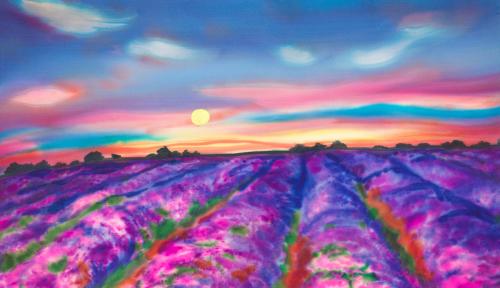 Lavender Fields by Diane Lawrence