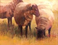 I See Three Sheep by Jean Cook
