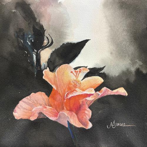 Hibiscus by James S. Jones