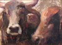 The Bulls by Jean Cook
