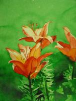 Lilies by Barbara Waterman-Peters