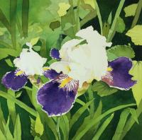 Garden Iris by Barbara Waterman-Peters