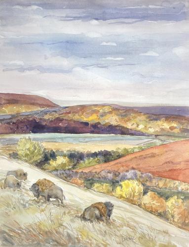 Bison Hillside by Oscar Larmer