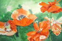 Poppies in the Sun by Barbara Waterman-Peters
