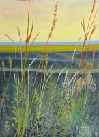Through the Grasses: Coyne Creek Rd. Series 2, #1 by Diana Werts