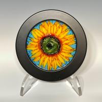 Sunflower 1 by Tony Nichols