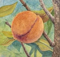 Peach by Ralph Fontenot
