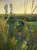 Through the Grasses: Coyne Creek Rd. Series 3, #2 by Diana Werts