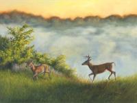 Above the Morning Mists by Susan Rose
