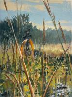 Through the Grasses: Sunrise #3 by Diana Werts