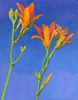 Day Lilies by Nora Othic