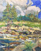 S. Fork la Poudre River by Annie Helmericks-Louder