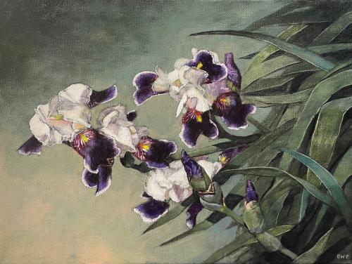Windblown Iris by Barbara Waterman-Peters