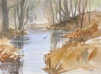 Cedar Creek Ducks by Jim Hagan