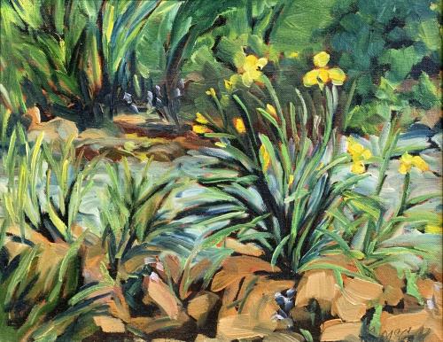 Iris Garden by Carol McCall