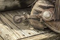 Cowgirl Accoutrements by Teresa Grove