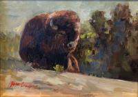 Reclining Bison - Yellowstone by Jean Cook