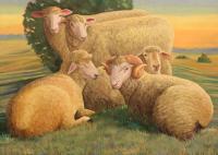 Five Sheep at Sunset by Nora Othic