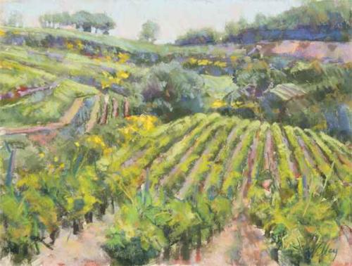 Vineyards in June by Chris Willey