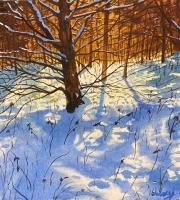 Winter's Voice by John Hulsey
