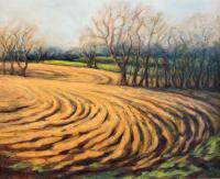 Spring Plow by Carol McCall