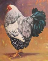Proud Hen by Nora Othic