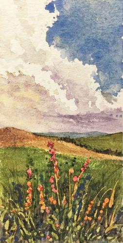 Prairie Color by Ralph Fontenot