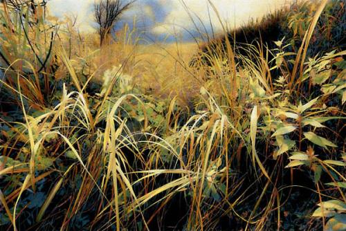 Blade Flurry, Konza Prairie by Edward Sturr