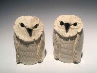 Owl S&P Set by Brian Horsch