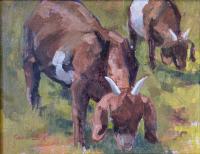 Boer Goats by Jean Cook