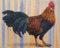 Red Rooster, Black Tail by Nora Othic