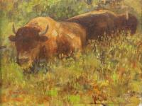 Bison in Custer State Park by Jean Cook