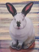 California Rabbit on Stripes by Nora Othic
