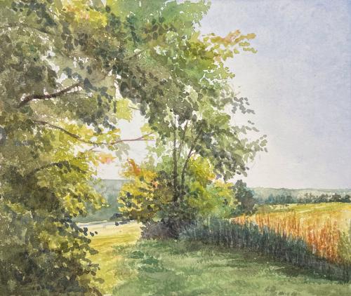 Allie's Meadow by Ralph Fontenot