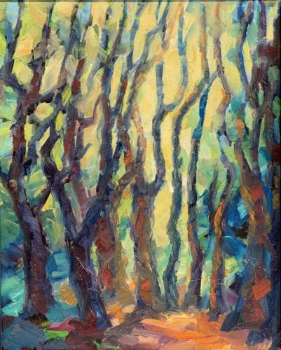 Woodland Light by Carol McCall