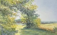 Allie's Meadow (Study) by Ralph Fontenot