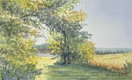 Allie's Meadow (Study) by Ralph Fontenot