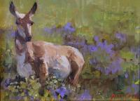 Pronghorn in Purple Flowers by Jean Cook