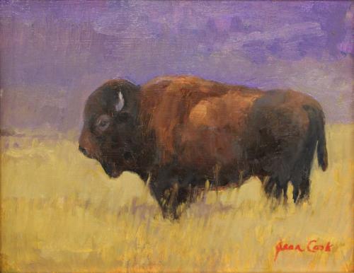 Bison at Maxwell by Jean Cook
